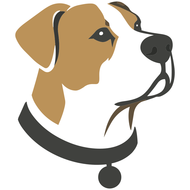 Scout